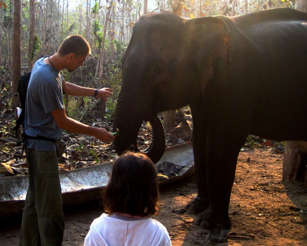 ¡Ya soy mahout! – Cuidador de elefantes