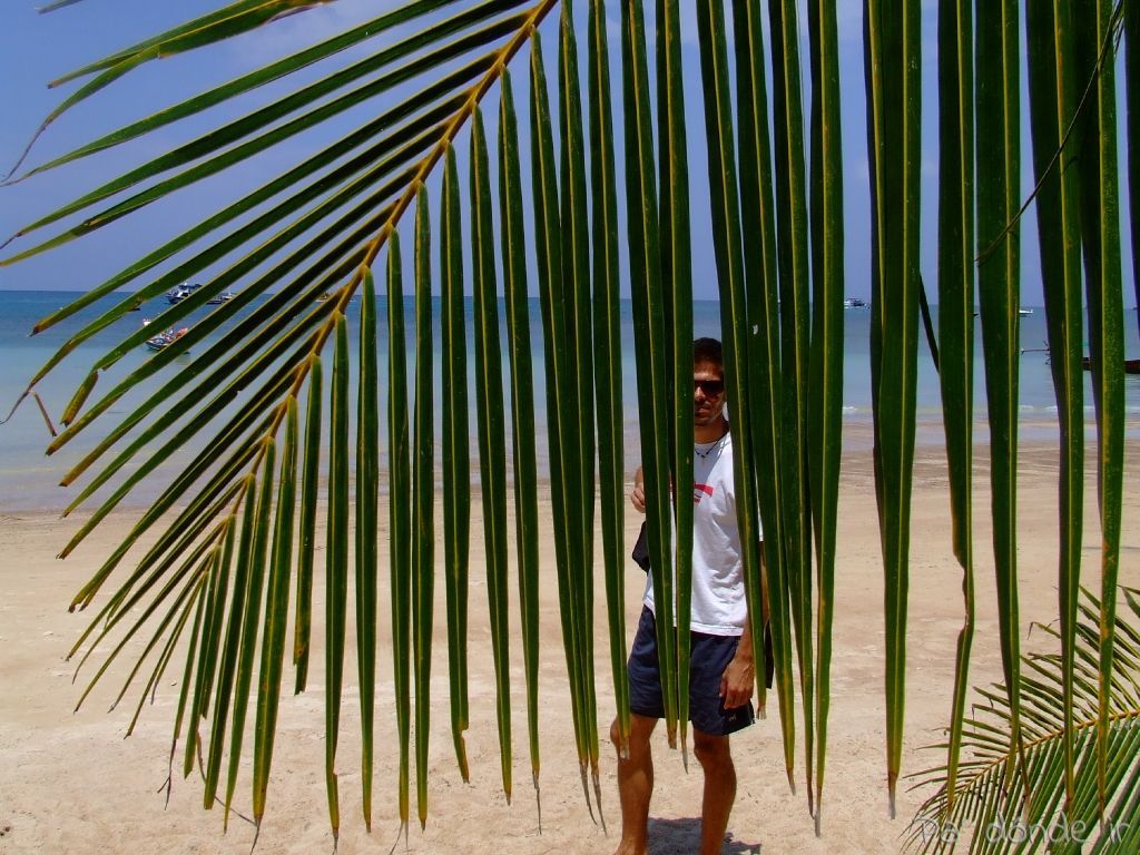 Regreso a Tailandia, regreso “a casa”